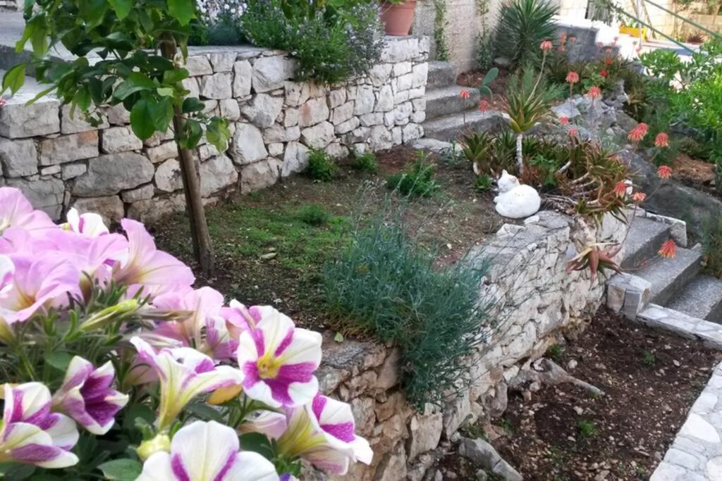 Mljet 2 You - Seafront Apartment 2+2 Sobra Kültér fotó